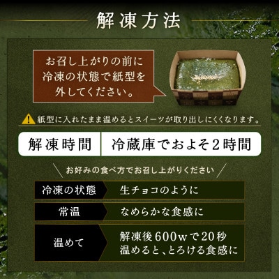 世界一の抹茶の濃さを目指した究極の抹茶のフォンダンショコラ(1本)[A-4521]