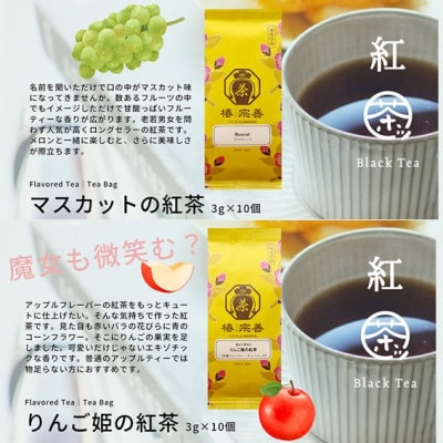 【人気のクラフト紅茶5種】数十種類の中から特に厳選した5種類の癒しの紅茶[A-4509]
