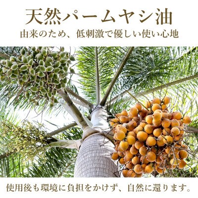アララ(ALALA)キッチンハーブ食器用洗剤300mL+詰め替え2.2kg×2本[A-18502]