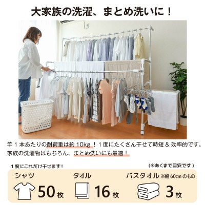 daim 伸縮式物干し ワイド2.1(シャンパンゴールド)[D-18402]