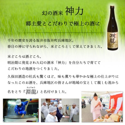 酒米づくりからこだわって作った限定醸造の生原酒「淵龍」 一升瓶 1本 [ A-1307]