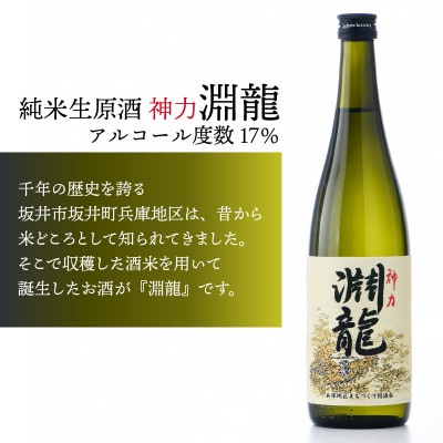 【贈答用・のし付】【自慢の逸品!】 純米酒『淵龍』720ml ×2本 飲み比べセット[A-1311]