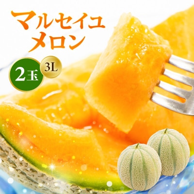 【2026年6月上旬より順次発送】マルセイユメロン 3Lサイズ以上 × 2玉 [A-16518]