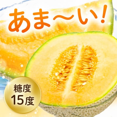 【2026年6月上旬より順次発送】マルセイユメロン 3Lサイズ以上 × 2玉 [A-16518]