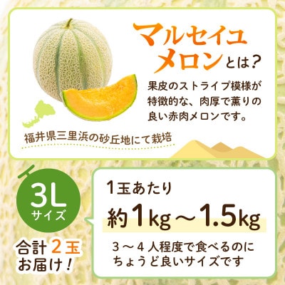 【2026年6月上旬より順次発送】マルセイユメロン 3Lサイズ以上 × 2玉 [A-16518]