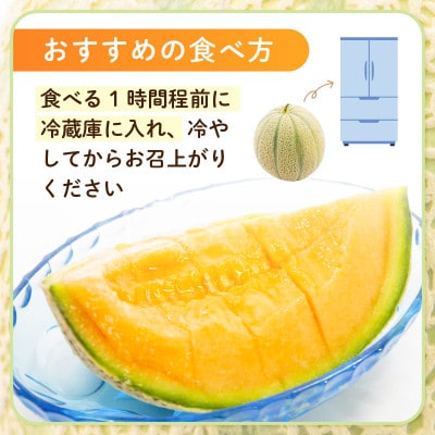 【2026年6月上旬より順次発送】マルセイユメロン 3Lサイズ以上 × 2玉 [A-16518]