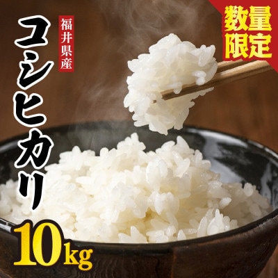 【数量限定!】 坂井市産 コシヒカリ白米 10kg ×1袋　令和7年産 [B-3258]