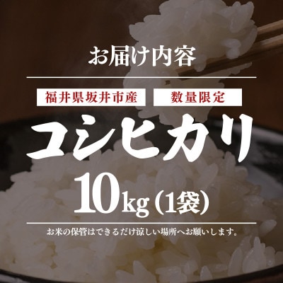 【数量限定!】 坂井市産 コシヒカリ白米 10kg ×1袋　令和7年産 [B-3258]