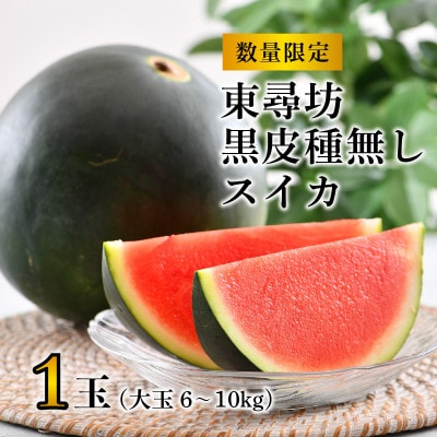 【2026年7月中旬以降順次発送予定】東尋坊黒皮種なしスイカ6～10kg[B-10201]