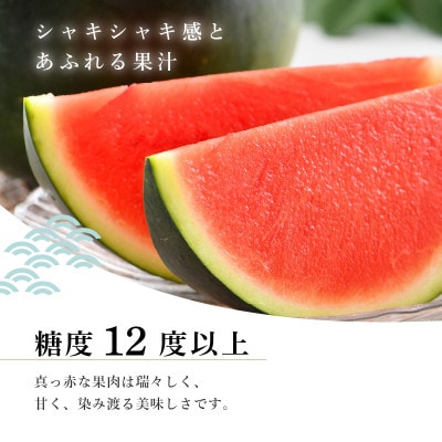 【2026年7月中旬以降順次発送予定】東尋坊黒皮種なしスイカ6～10kg[B-10201]