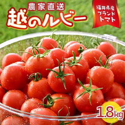 【R8年6月中旬以降順次発送予定】越のルビー 農家直送 フルーツトマト 1.8kg[A-21802]