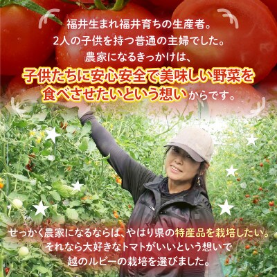 【R8年6月中旬以降順次発送予定】越のルビー 農家直送 フルーツトマト 1.8kg[A-21802]