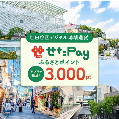 世田谷区 地域限定通貨「せたがやPay」 ふるさとポイント3,000pt(1pt=1円)