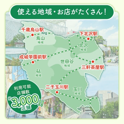 世田谷区 地域限定通貨「せたがやPay」 ふるさとポイント6,000pt(1pt=1円)