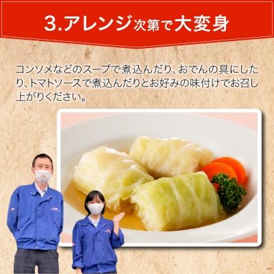 国産豚で作ったロールキャベツ(10袋セット)　お弁当やおかずにも!　[022J04]