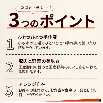 <2か月に1回　計3回　定期便>国産豚で作った惣菜セット6種[022J25-T]