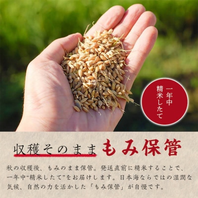 【令和7年産新米】特別栽培米コシヒカリ10kg