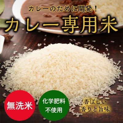 カレー専用米“プリンセスかおり”5kg(無洗米)