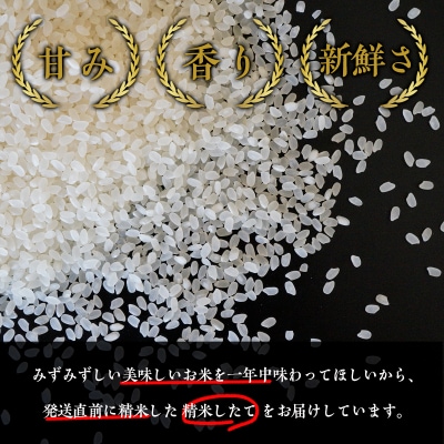 【令和7年産新米】特別栽培米コシヒカリ15kg