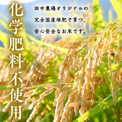 【令和7年産新米】コシヒカリ2個・プリンセスかおり1個【450g×3個入りお米ギフト】