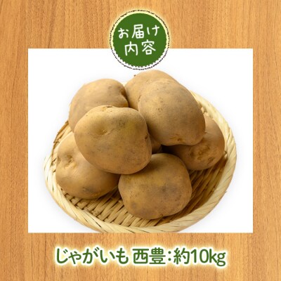 じゃがいも 西豊(約10kg)<12月中旬～2月中旬発送予定>
