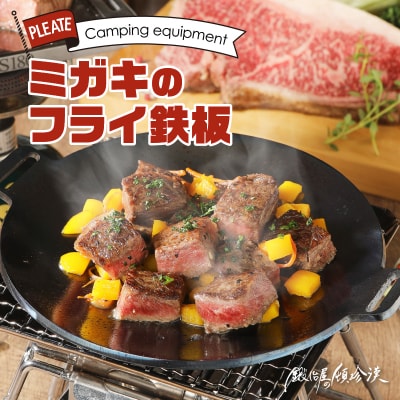 鍛冶屋の頓珍漢 フライ鉄板 F220S 4.5mm厚 直径22cm[050S07]