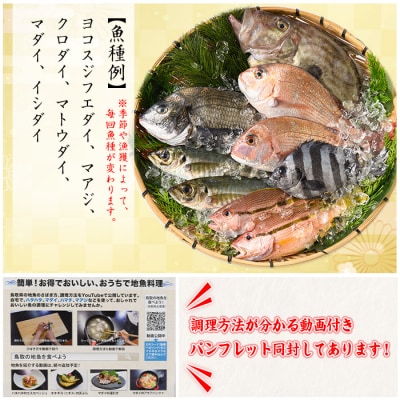 朝獲れ鮮魚ボックス「美保湾の恵み」(計2.5kg以上)