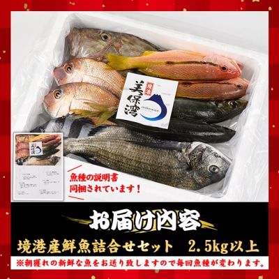 朝獲れ鮮魚ボックス「美保湾の恵み」(計2.5kg以上)