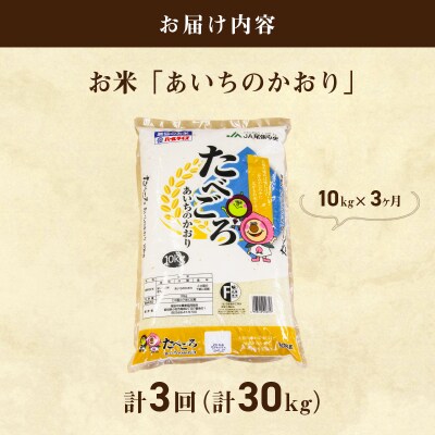 【3ヶ月定期便】お米「あいちのかおり」10kg(計30kg)[011O01-T]