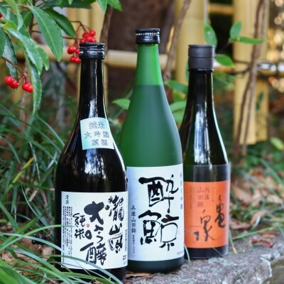 純米大吟醸　梅セット