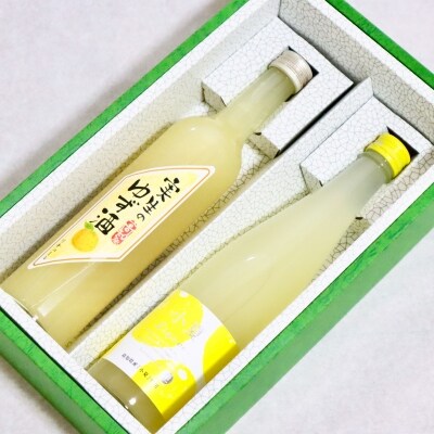 高知の柑橘リキュール2本入りセット(高知酒造・亀泉酒造)