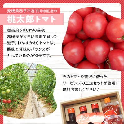 <リコピンズの王道セット>　トマト　ケチャップ　ソース　ドレッシング　ポン酢　城川