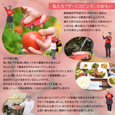 <リコピンズの王道セット>　トマト　ケチャップ　ソース　ドレッシング　ポン酢　城川
