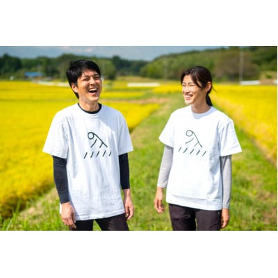 【R7年産新米予約】那須産 もっちり米 15kg(コシヒカリ)≪白米≫