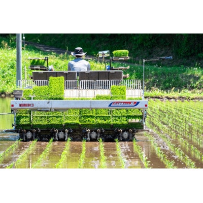 【R7年産新米予約】那須産 もっちり米 15kg(コシヒカリ)≪白米≫