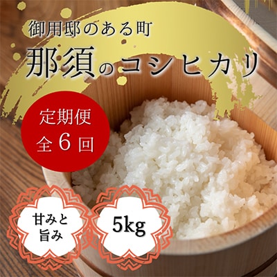 【毎月定期便】那須町産コシヒカリ精米5kg×1袋全6回