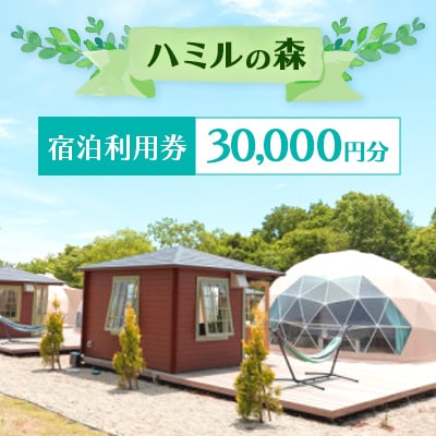 那須ハミルの森の宿泊ギフト券(3万円分)〔G-20〕