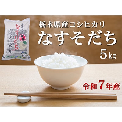 【大田原市・那須塩原市・那須町共通返礼品】R7年産　栃木県産コシヒカリ　なすそだち5kg〔B-93〕