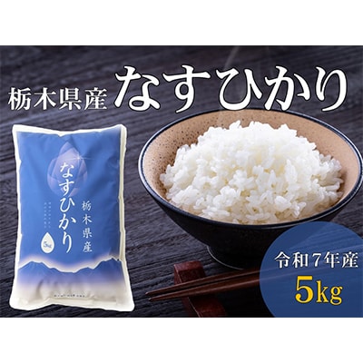 【大田原市・那須塩原市・那須町共通返礼品】令和7年産　栃木県産　なすひかり　5kg　精米〔P-50〕