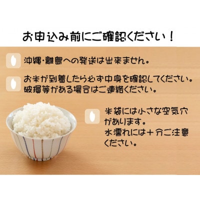 【大田原市・那須塩原市・那須町共通返礼品】令和6年産　栃木県産　なすひかり　10kg精米〔P-51〕
