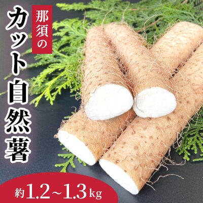 那須の「カット自然薯」約1.2～1.3kg/真空パック〔P-152〕