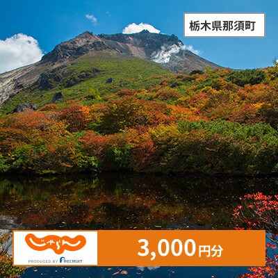 【じゃらんふるさと納税クーポン】 栃木県那須町でつかえる3,000円 クーポン