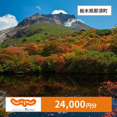 【じゃらんふるさと納税クーポン】 栃木県那須町でつかえる24,000円 クーポン
