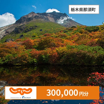 【じゃらんふるさと納税クーポン】 栃木県那須町でつかえる300,000円 クーポン