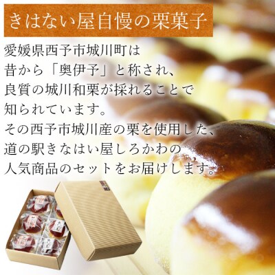 <道の駅きなはい屋「想い・想われ」栗菓子セット(6個入)>　お菓子　和菓子　和栗　マロン　スイーツ　