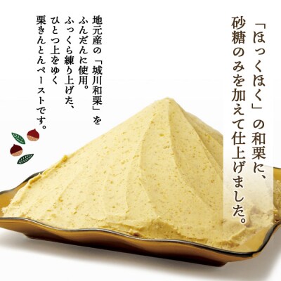 <道の駅きなはい屋 極上和栗きんとん 800g>　マロン ペースト お茶菓子 城川 特産