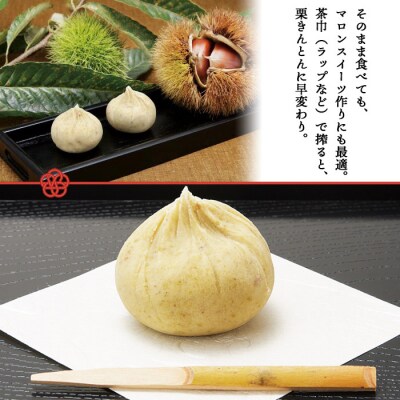 <道の駅きなはい屋 極上和栗きんとん 800g>　マロン ペースト お茶菓子 城川 特産