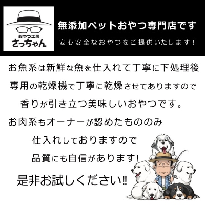犬猫用 ペットフード 無添加おやつジャーキー 肉シリーズ5袋詰め合わせ ペットおやつ[143O14]