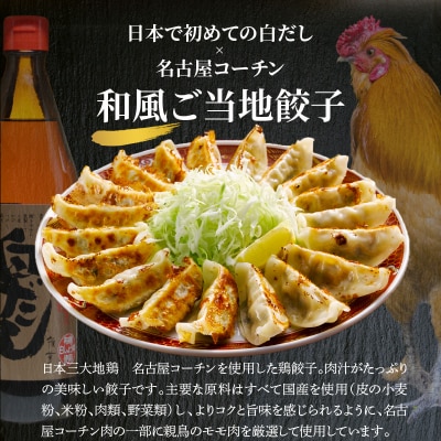  白だしの元祖 七福醸造の白だし使用 名古屋コーチン鶏餃子 36個入  H001-093