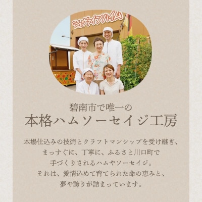 【定期便3回お届け】手作りハム工房シュヴァインハイムの満喫セット H003-040